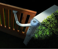 Walky Automatic Single Leaf Swing Gate WL1024C (master gear motor)